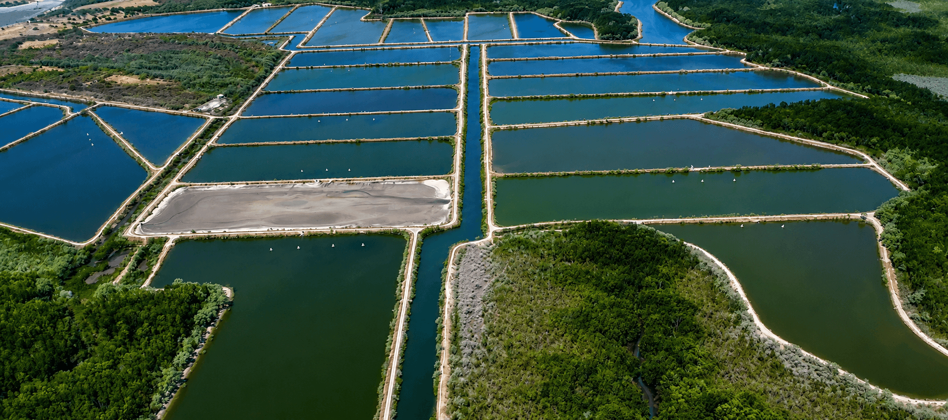Tecnología en Lagunas